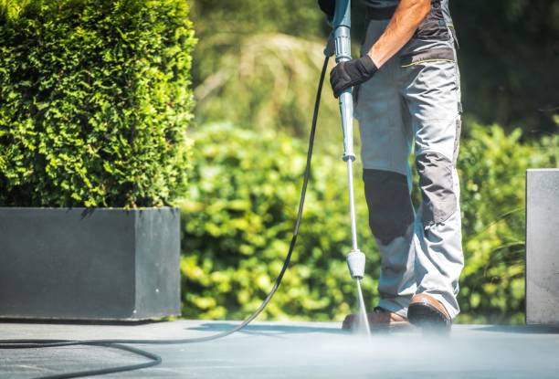Best Solar Panel Cleaning  in Ridgeville, SC