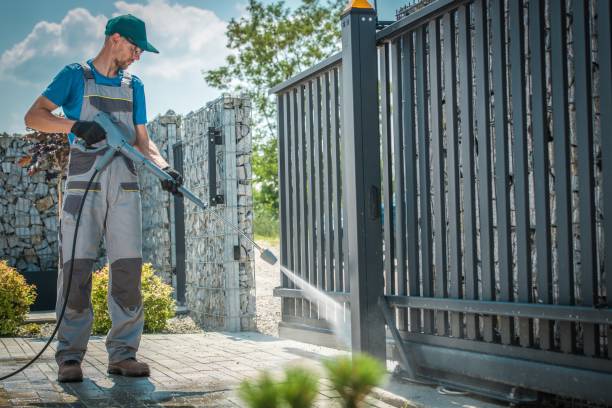 Best Rust Removal  in Ridgeville, SC