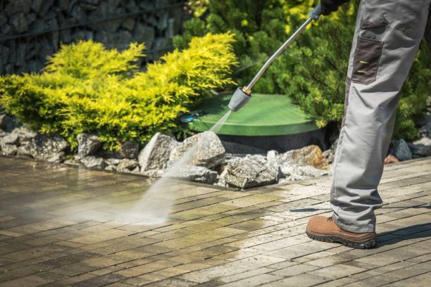 Best Gutter Cleaning  in Ridgeville, SC