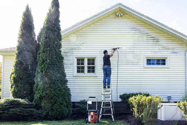 Best Gutter Cleaning  in Ridgeville, SC